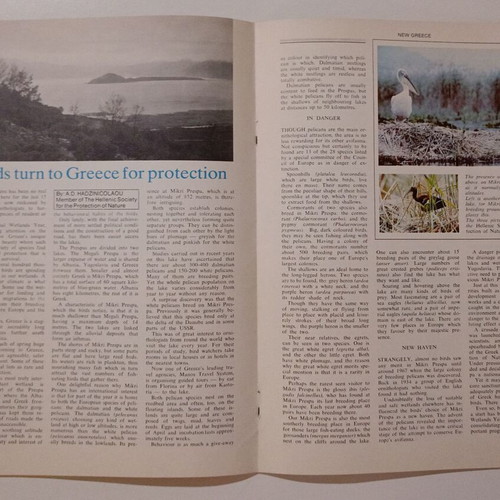 New Greece Monthly Magazine Issue 2/15 March 1976 used, English