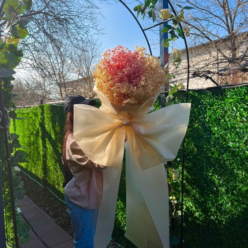 Gypsophila bouquet new, huge 1.60 m