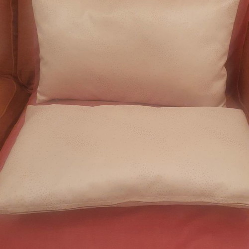 Pillows used with pillowcase 50cm x 30cm set