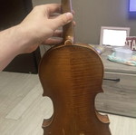 Old professional violin with bow