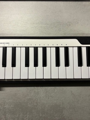 Arturia Microlab 25-key MIDI controller