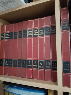 Domi encyclopedia used, very good condition