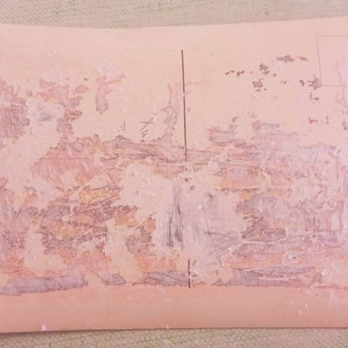 Vintage Τρισδιάστατη Καρτ Ποστάλ 3D Lenticular Παπαγαλάκια με φθορές πίσω