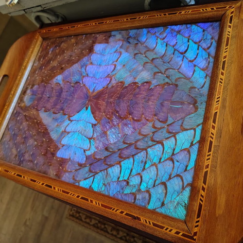 Serving tray 1950s with Morpho butterflies, used