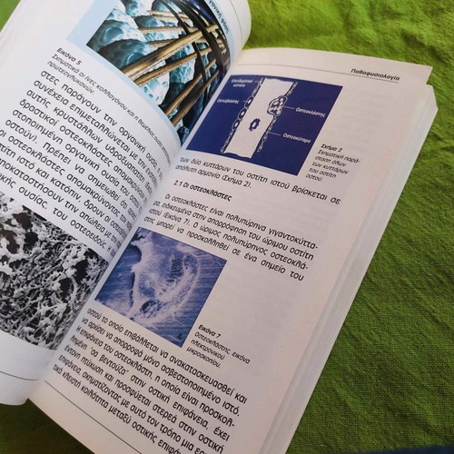 Osteoporosis book like new, 2004, scientific medical guide