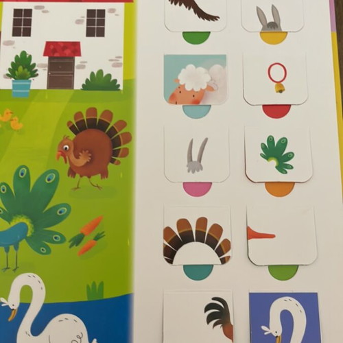 100 Parathyrakia Gnosis Children’s Book like new