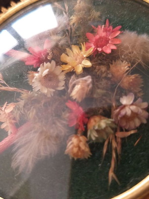 Round frame used with convex glass, velvet frame and dried flowers