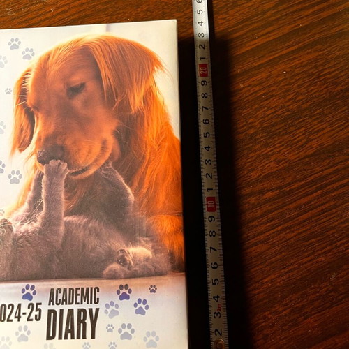 2024-2025 Academic Diary new with hardcover