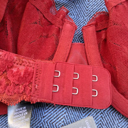Savage X Fenty Red Velvet bra new, red
