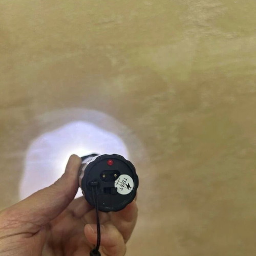 Police flashlight new, Germany
