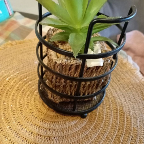 Decorative plant in seaweed new, together