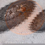  Antique Southeast Asian Filipino Solakot