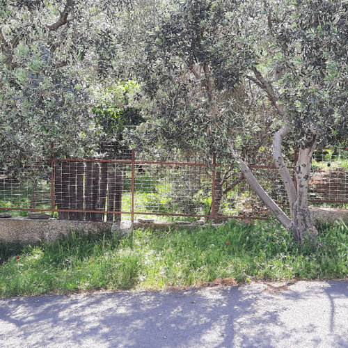 Land 500 m² buildable in Daou Penteli
