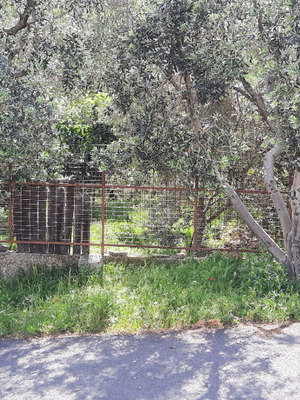 Οικόπεδο 500 m² οικοδομήσιμο στη Νταού Πεντέλης