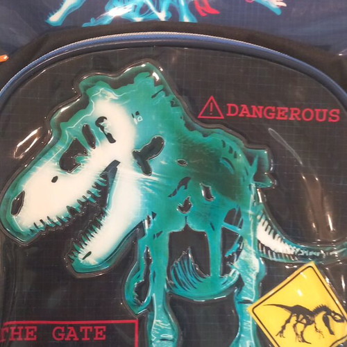 School Backpack with Dinosaur Design new