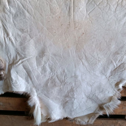 Reindeer Skin New With Dense Hair 130x75cm