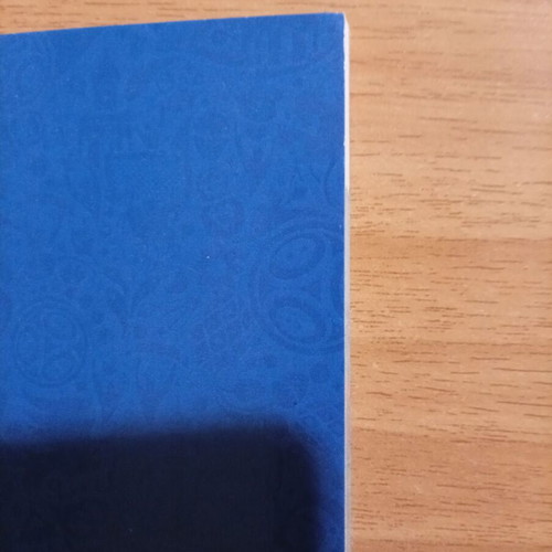 Panini World Cup Russia 2018 UK Edition Sticker Album used, empty
