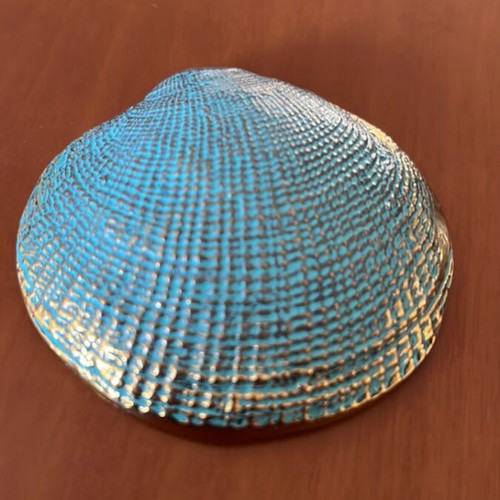 Minimal bronze decorative shell like new, ashtray