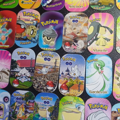 101 Metal Pokemon Tags