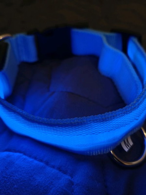 Blue glowing rechargeable dog collar like new