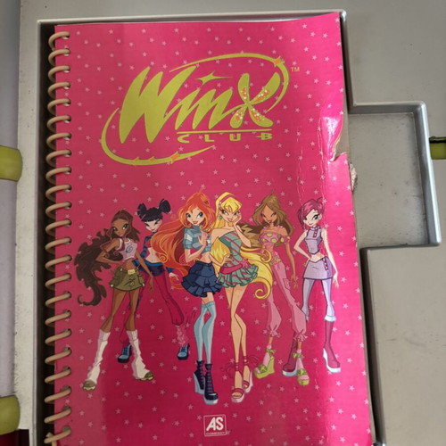 Winx electronic diary used, no batteries, uncertain if works
