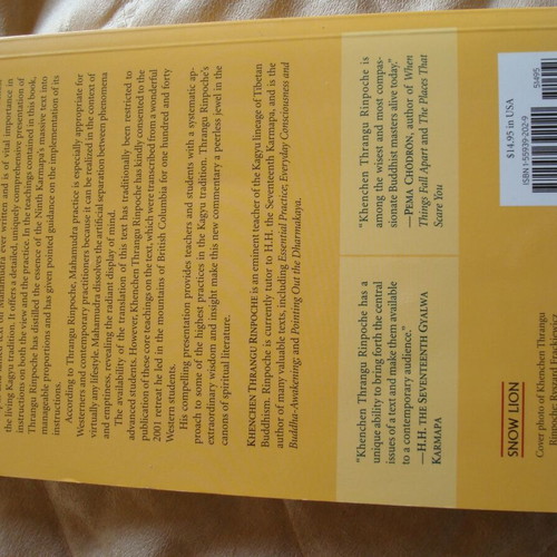The Ninth Karmapa's Ocean of Definitive Meaning book like new