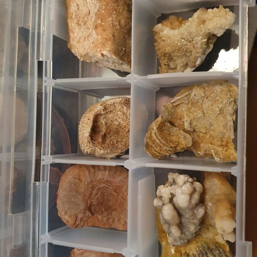 Lot of fossils and rocks from Greece new, educational collection