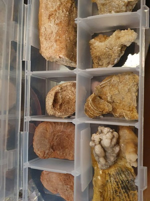 Lot of fossils and rocks from Greece new, educational collection