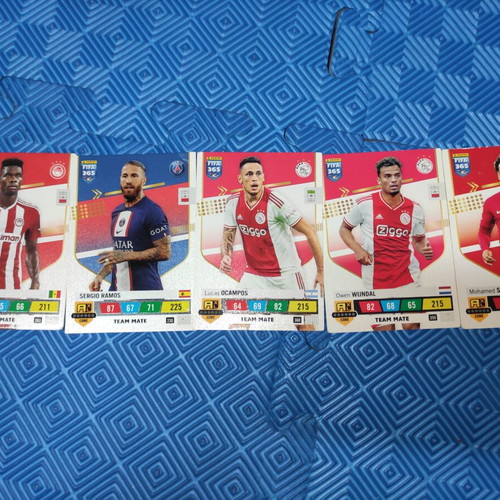 FIFA 365 The Champions Team like new
