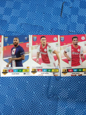 FIFA 365 The Champions Team like new