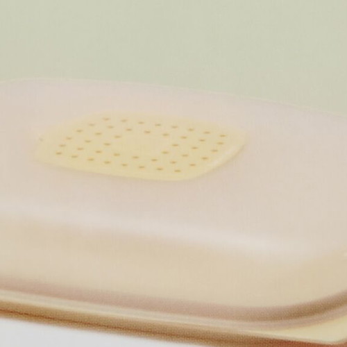 Smart low cheese keeper new
