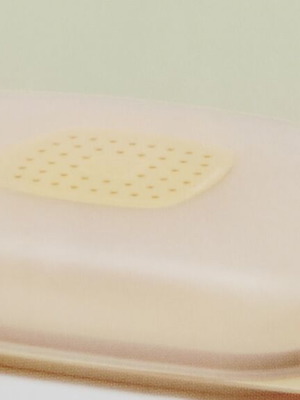 Smart low cheese keeper new
