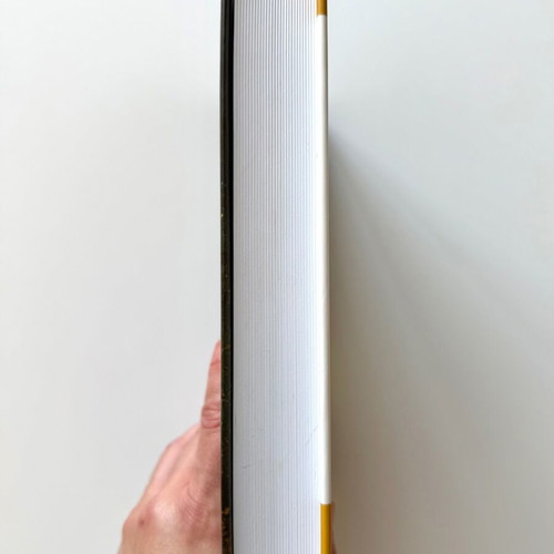 Games Primates Play book like new
