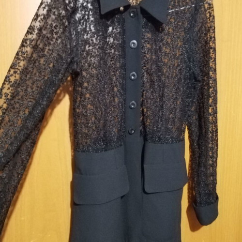 Official Vest with Transparency