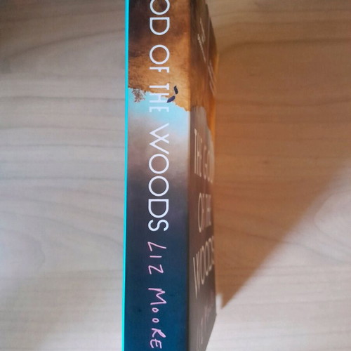 The God of The Woods by Liz Moore like new, in English