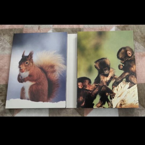 The Life of Mammals DVD BBC documentary like new