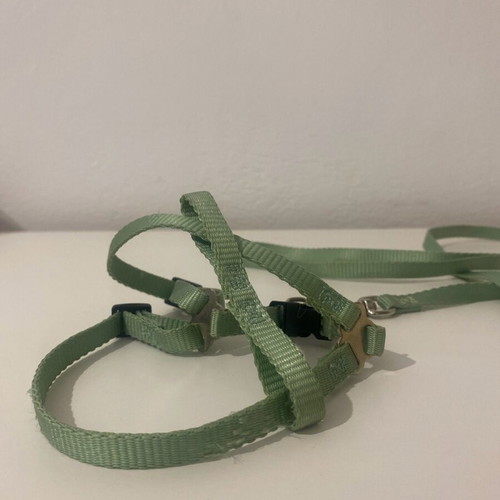 Cat/Small Dog Harness used