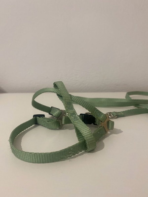 Cat/Small Dog Harness used
