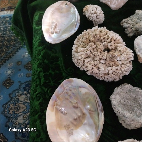 Coral and rock collection used, pack