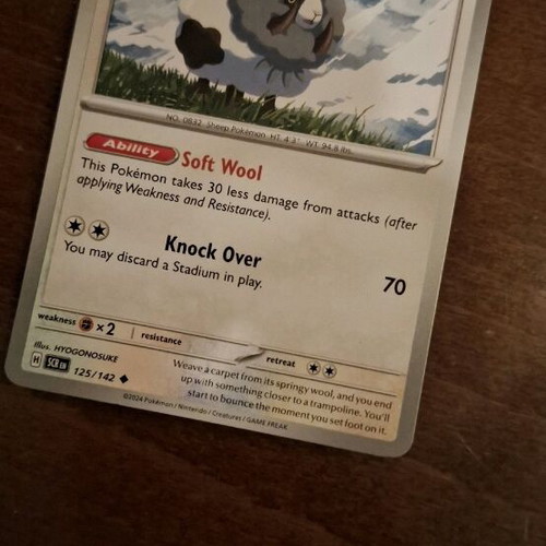 Pokemon Card Dubwool new