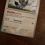 Pokemon Card Dubwool new