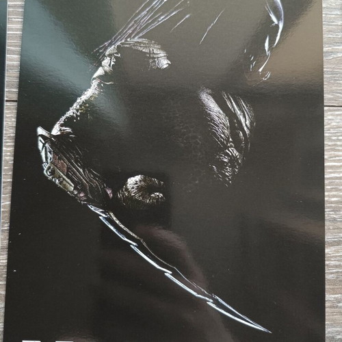 Alien and Predator 10 Poster Lithographs Collection new