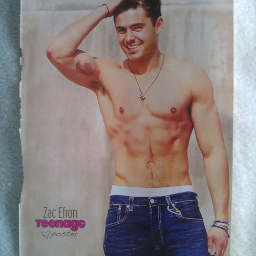 Zac Efron & Demi Lovato Pinup poster like new