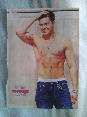 Zac Efron & Demi Lovato Pinup poster like new