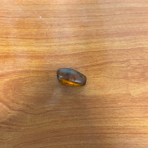 Mini amber with insect used, natural collectible 2cm