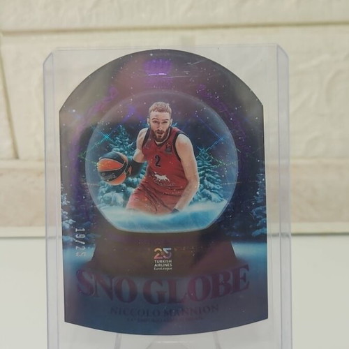 Sno Globe Niccolo Mannion 19/25 like new