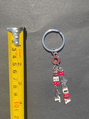 Key accessory with keyring like new
