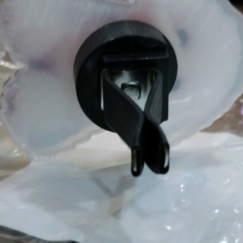 Decorative clip with Bichon Frisé dog new