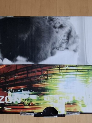 Lomography Horizon 35mm panorama camera
