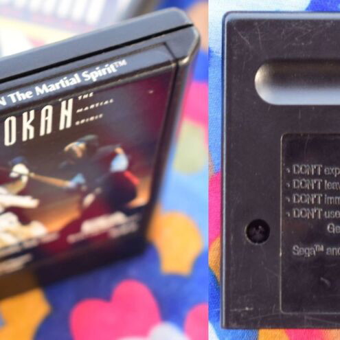 Budokan: The Martial Spirit Sega Mega Drive game used